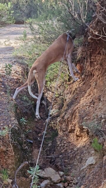 Wenn es doch so interessant riecht 😉