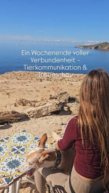 An diesem Wochenende findet der Tierkommunikation workshop auf der Insel statt. 
Ich bin noch in den letzten Vorbereitungen und später besorge ich noch ein paar Snacks die Ibiza typisch sind.

Der Workshop findet auf englisch statt und wir werden mit  den Tieren der Teilnehmer aber auch mit Wildtieren kommunizieren. Eine schamnische Reise werden die Teielnehmer auch erleben und ihr Krafftier kennen lernen.

Ich freue mich schon ganz dolle auf weitere Menschen, die die Sprache der Tiere lernen, festigen und vertiefen werden.