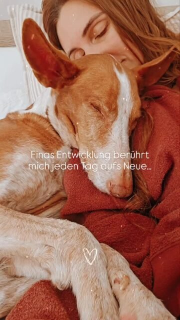 Und wieder hat Fina neues entdeckt und lieben gelernt.
Ganz nah an mich kuscheln, direkt im Gesicht angefasst werden wollen - und wenn nicht dann findet ihre Nase meine Hand.

Fina ist neugieriger und mutiger als je zuvor.
Ja und wenn dann doch mal eine kleine Schrecksituation entsteht... ist diese auch gleich wieder vergessen und sie schaut wieder nach vorne.

Fina ist in Heilung. Wir haben nie erwartet, wir sind den Weg gegangen. Tag für Tag, Woche für Woche, Monat für Monat und Jahr für Jahr. So werden wir weiter gehen.
Fina bestimmt ihr Tempo, unser Tempo. 
Denn so soll es sein und so wird es bleiben.
Mit allen Hochs und Tiefs. So wie das Leben schreibt und immer schreiben wird. Dies ist der Kreislauf des Lebens.

Fina mit Demut zu beobachten, fühlen und sprechen zu dürfen ist ein lehrreiches Geschenk. Sie lernt mich meine Antennen noch einmal zu verfeinern, zu spezialisieren.