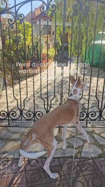 Ja so ist es manchmal im Leben 😉