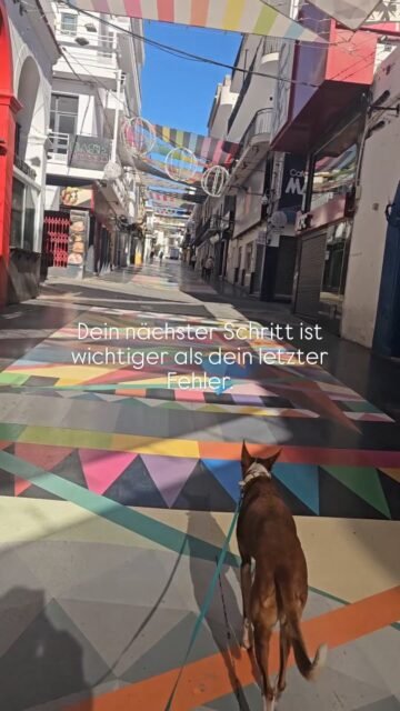 Dein nächster Schritt ist wichtiger als dein letzter Fehler.

Denke daran, in die Zukunft zu blicken und gleichzeitig im Hier und Jetzt zu bleiben. Wenn du ständig in die Vergangenheit schaust und an Dingen festhältst, trägst du ihre Energie unbewusst in deine Gegenwart. Dadurch blockierst du nicht nur deinen klaren Blick, sondern auch den Raum, den du brauchst, um wirklich weiterzugehen.

Lass los, was war nicht, weil es unwichtig ist, sondern weil es dich nicht mehr definieren soll. Deine Kraft liegt in dem, was du jetzt tust. Jeder neue Schritt kann dich in eine Richtung führen, die das Alte heilt, transformiert oder schlicht bedeutungslos macht.

Der nächste Atemzug, die nächste Entscheidung, die nächste Bewegung nach vorn: Sie tragen mehr Gewicht als alles, was hinter dir liegt. 

So let's move forward 😉