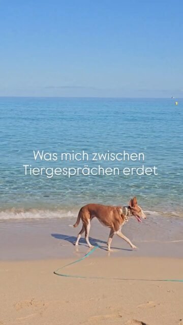 Ruhe, Erdung, Stille, Natur und Bewegung 🏝🤍✨️