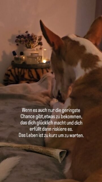 Wenn es auch nur die geringste 
Chance gibt,etwas zu bekommen,
das dich glücklich macht und dich 
erfüllt dann riskiere es.
Das Leben ist zu kurz um zu warten.