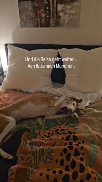 Weiter geht es auf unserem Abenteuer. Gestern sind wir in München angekommen.
Ab heute habe ich bis zum 03.03 Urlaub ich stehe euch natürlich weiterhin per E-mail zur Verfügung.
Love Linda ✨️