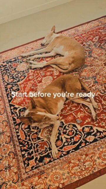 Immer wieder kommt das Thema "der richtige Zeitpunkt" in meiner Arbeit als Tierkommunikatorin in Gesprächen mit Menschen als Schlüsselmoment vor. Menschen fragen und sprechen über den richtigen Zeitpunkt. 

Den richtigen Zeitpunkt, um etwas Neues zu beginnen. Den richtigen Zeitpunkt, um an einen neuen Ort zu ziehen. Den richtigen Zeitpunkt, um einen Job zu kündigen, eine Beziehung zu beenden, ein Unternehmen zu gründen oder der richtige Zeitpunkt als das Tier gegangen ist. Der richtige Zeitpunkt für einfach alles. 

Diese Vorstellung hat etwas Tröstliches an sich. Dass sich die Umstände eines Tages fügen werden. Aber wenn es richtig gibt, dann müsste es auch falsch geben. Genau hier liegt der Mythos, ganz nah und fein in unserem Denken und Handeln. Durch die Einordnung richtig und falsch ziehen umd bauen wir selbst unsere eigenen Mauern. Mauern für uns und auch die Möglichkeiten mit unseren Tieren. Denn wir gehen in die Wertung. Und was bringt uns Wertung? Gar nichts. Sie bringt uns keinen Schritt weiter. Anstelle in unserem Gefühl und im Handeln zu bleiben begrenzen wir uns selber. 
Ist es nicht viel schöner und vor allem einfacher uns alle Türen offen zu halten für dieses Leben. Oh ja ✨️