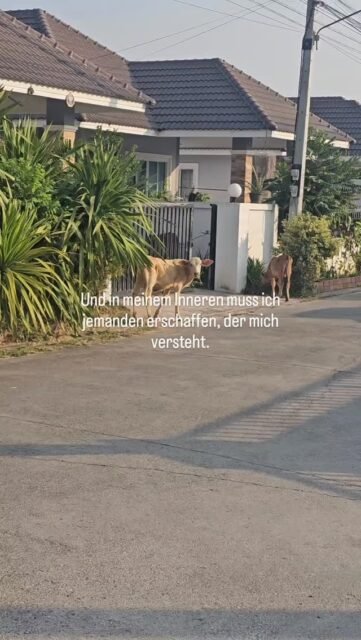 Und in meinem Inneren muss ich jemanden erschaffen, der mich versteht.