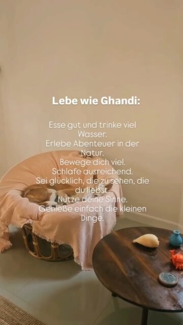 Lebe wie Ghandi:
Esse gut und trinke viel Wasser.
Erlebe Abenteuer in der Natur.
Bewege dich viel.
Schlafe ausreichend.
Sei glücklich, die zu sehen, die du liebst.
Nutze deine Sinne.
Genieße einfach die kleinen Dinge.