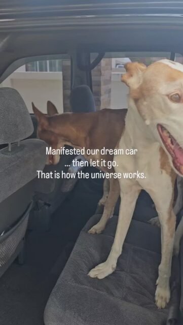 Was habe ich manifestiert in den letzten Monaten und Jahren.
Was habe ich meine Gedanken immer wieder überprüft.
Was habe ich an mir gearbeitet.

Die Frage ist nicht ob es sich auszahlt.
Die Frage ist wann.
Und dies überlassen wir mal dem Universum.
Ich gabe meinen Teil dazu und den Rest gebe ich ab.