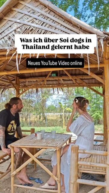 Hier ein Ausschnitt aus unserem neuen Youtube Video.
@soidogshh
Youtube link in der bio ✨️