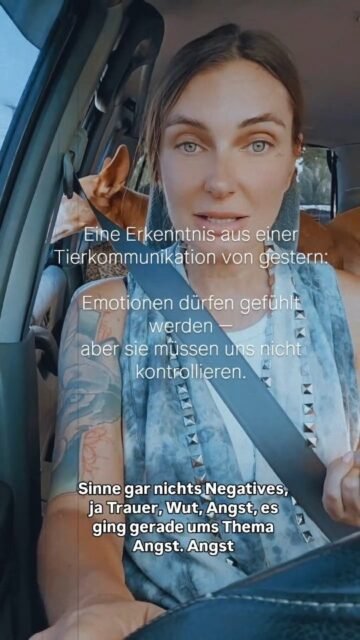 Eine Botschaft aus einer Tierkommunikation von gestern mit einem Wallach und seinem Menschen.

Angst ist nicht unser Feind. Emotionen sind nicht unser Feind.
Doch wenn wir unbewusst von ihr gelenkt werden, verlieren wir die Verbindung zu uns selbst.

Vielleicht erinnert dich dieses Video heute an deine eigene innere Stärke.