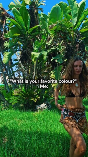 🌴🏝🦎