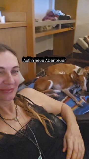 Unsere Reise nach Deutschland ist alles andere als "geplant" verlaufen. 
"Eigentlich" wollten wir fliegen aber es kam alles anders.

Es wurde nur eine Hundebox gebucht und ich musste schnell nach einer Alternative suchen. Meine Freundin sagte ohne zu zögern, dass sie die Hunde und mich per Fähre mit ihrem Auto begleitet....naja nicht nur begleitet sondern mich nach der 10 stündigen Überfahrt nach Barcelona auch noch bis an die französische Grenze fährt.
Ihr Worte waren: you need emotional support.
Sie hat mir so aus dem Herzen gesprochen.

Wenn du solche Freunde hast, rührt es einen zu Tränen.
Big Sventi hat mich dann von der französischen Grenze abgeholt. Ohne murren und knurren hat er gesagt: okay 16.000 km für eine Strecke ist zwar länger als dich aus Frankfurt abzuholen aber er fuhr zweimal diese Strecke für uns. Ich hatte ein Airbnb für unseren Zwischenstop gebucht. Ghandi und Fina sind auf Reisen wie meine Engel, es fügt sich immer alles und wir wurden wortwörtlich getragen.
Es war zwar eine lange und anstrengende Reise und wir waren doch sehr erschöpft aber am Ende sollten wir nicht fliegen. Es hat immer alles Sinn im Leben und als och dann erfahren habe, dass der Flug 5x verschoben wurde und am Abflugtag wegen den Wetterverhätnissen auf Ibiza geschlossen wurde und ich bereits an der französischen Grenze war, war mir alles klar.

Ein riesen Dank an meine guten Freunde die Ghandi, Fina und mir in allerletzter Minute aus der Patsche geholfen haben.
@santa.kobra und Big Sventi 🩷.
Ihr seid die Besten der Besten 

Ghandi habe ich während und nach der Reise noch nie so viel schlafen gesehen. Fina ist mal wieder so was von gewachsen und noch selbstbrwusster geworden.
Ich werde auch noch ein Youtube Video dazu machen. Noch sind wir aber im Abenteuer und warten auf das nächste. Ich halte euch auf dem Laufenden.