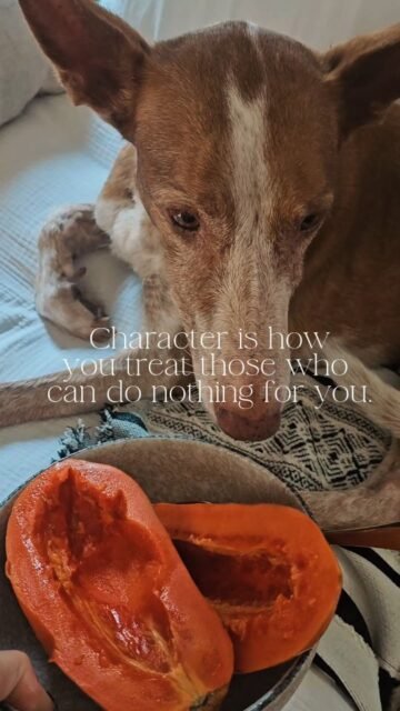 Character is how you treat those who can do nothing for you.
Read it again.