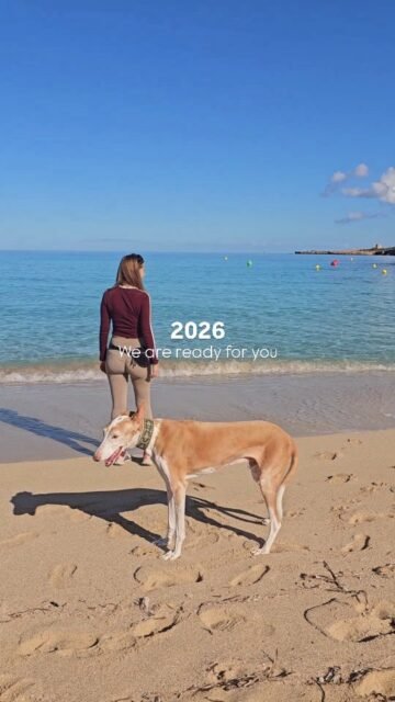 2026 ✨
Dankbar für das Jetzt und gespannt auf alles, was kommt.
Danke, dass wir Teil davon sein dürfen.